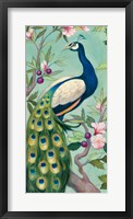 Pretty Peacock II Framed Print