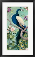 Pretty Peacock I Framed Print