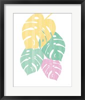 Framed Monstera III Bright on White