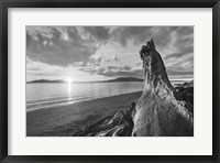 Framed Samish Bay Sunset I BW