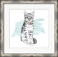 Framed 'Fancy Cats I Watercolor' border=