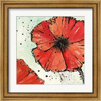 Framed 'Not a California Poppy IV' border=