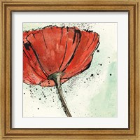 Framed 'Not a California Poppy I' border=