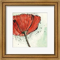 Framed 'Not a California Poppy I' border=