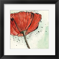 Not a California Poppy I Framed Print