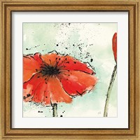 Framed 'Not a California Poppy III' border=