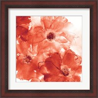 Framed 'Seashell Cosmos II Red and Orange' border=