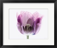 Inside Out II Framed Print