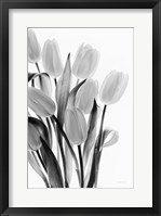 Shadows and Light II Framed Print