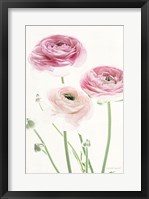 Light and Bright Floral VI Framed Print