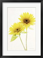 Light and Bright Floral VII Framed Print