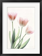 Framed Light and Bright Floral II