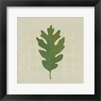 Forest Leaves II no Lines Framed Print