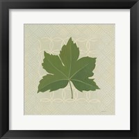 Forest Leaves I no Lines Framed Print