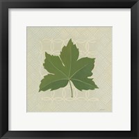 Framed 'Forest Leaves I no Lines' border=