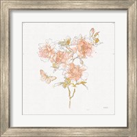 Framed 'Watery Blooms VII' border=