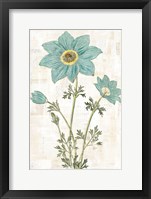 Bloemen Boek VII Framed Print