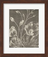 Framed Botanical Beauty Chalk IX Crop