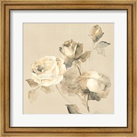 Framed 'Rose Blossoms Crop' border=