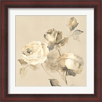 Framed 'Rose Blossoms Crop' border=