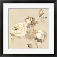 Framed Rose Blossoms Crop