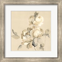 Framed 'Peony Blossoms Crop' border=