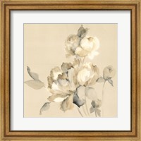 Framed 'Peony Blossoms Crop' border=