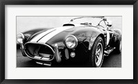 Framed Black Cobra