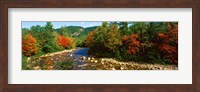 Framed River flowing through a Forest, Swift River, White Mountain National Forest, New Hampshire