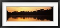 Framed Reflection of Trees in Napo River, Oriente, Ecuador