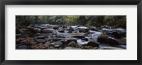 Framed Rocks in a River, Great Smoky Mountains National Park, Tennessee