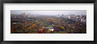 Framed Trees in a Park, Central Park, Manhattan