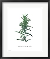 Rosemary on White Framed Print