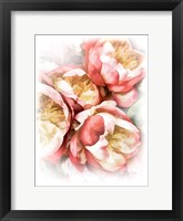 Framed Peach Peony