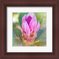 Framed 'Spring Bud' border=