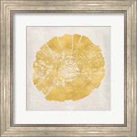 Framed 'Tree Stump Golden I' border=