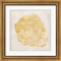 Framed 'Tree Stump Golden III' border=