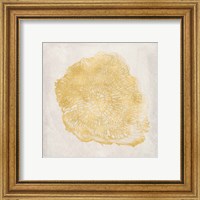 Framed 'Tree Stump Golden III' border=