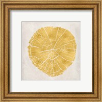 Framed 'Tree Stump Golden IV' border=