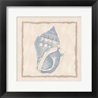 Shell II Framed Print