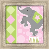 Framed 'Baby Big Top IX Pink' border=