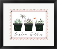 Framed 'Garden II' border=