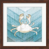 Framed 'Coastal Crab' border=