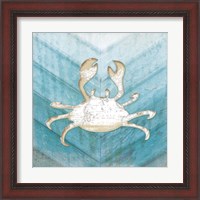 Framed 'Coastal Crab' border=