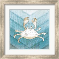 Framed 'Coastal Crab' border=