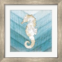 Framed 'Coastal Seahorse' border=