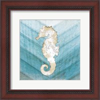 Framed 'Coastal Seahorse' border=