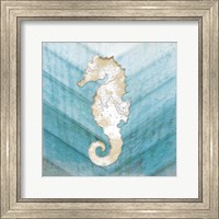 Framed 'Coastal Seahorse' border=