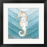 Coastal Seahorse Framed Print