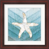 Framed 'Coastal Starfish' border=